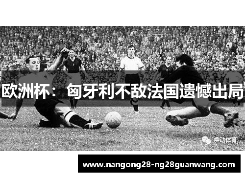 欧洲杯：匈牙利不敌法国遗憾出局